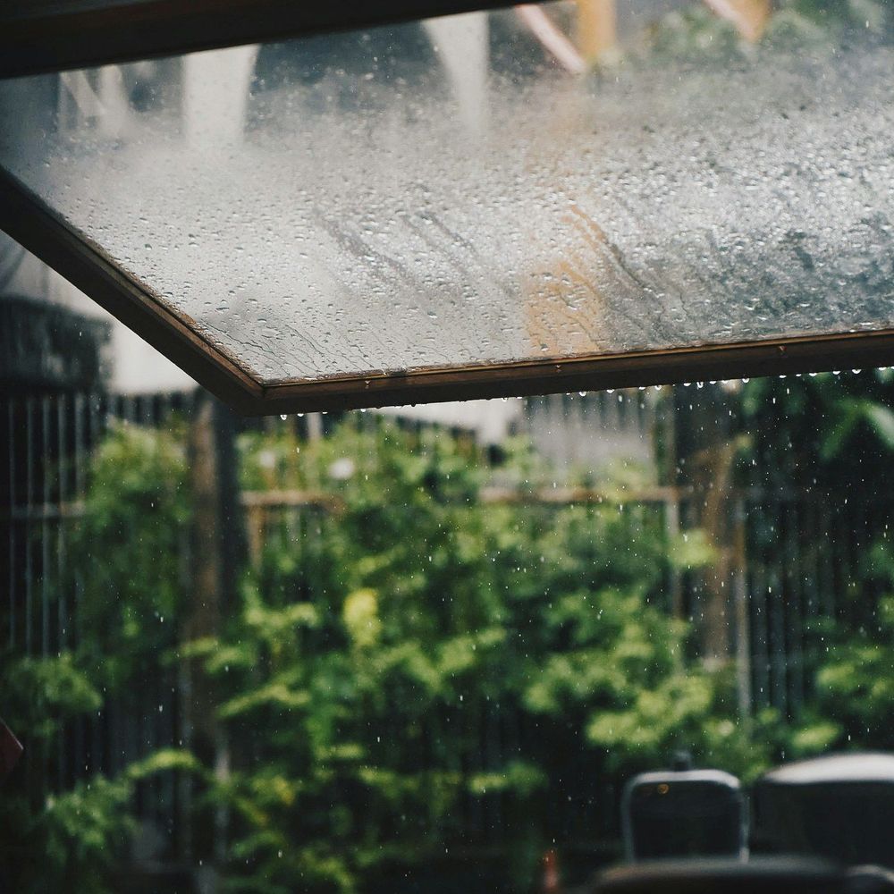 Whispers in the Rain