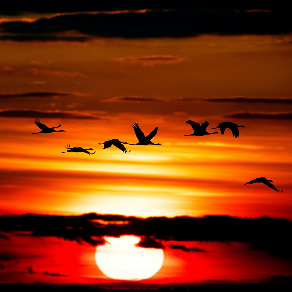 Dusk's Poem
