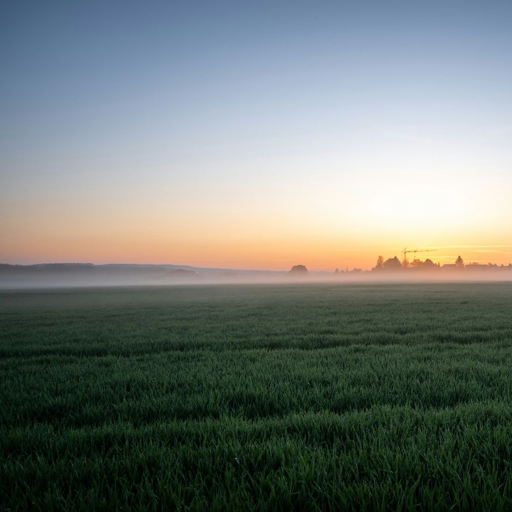 First Light's Embrace