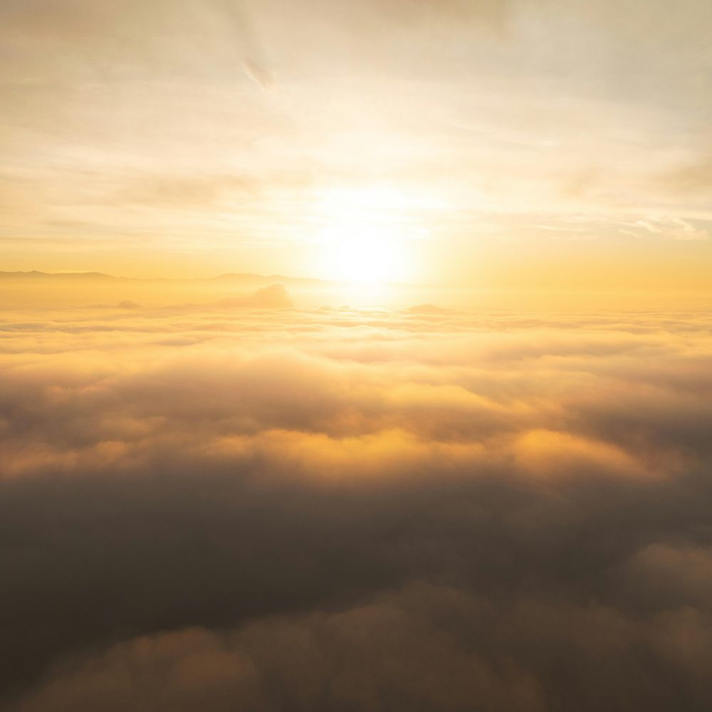 Rise and Shine