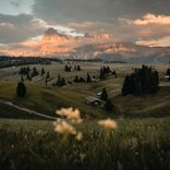 Stillness