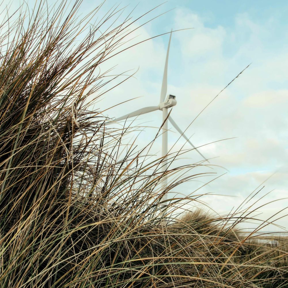The Wind's Trajectory