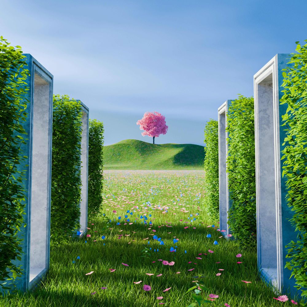 Spring Step
