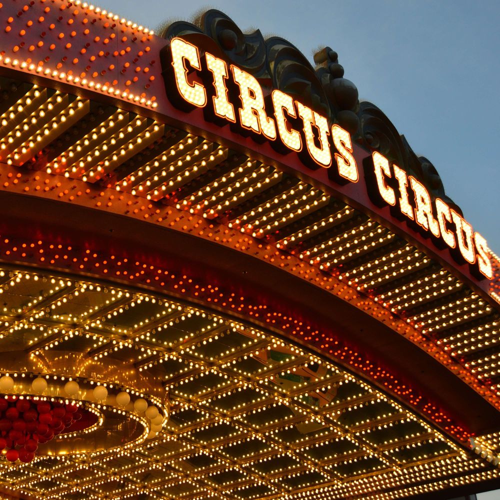 Circus of Fools