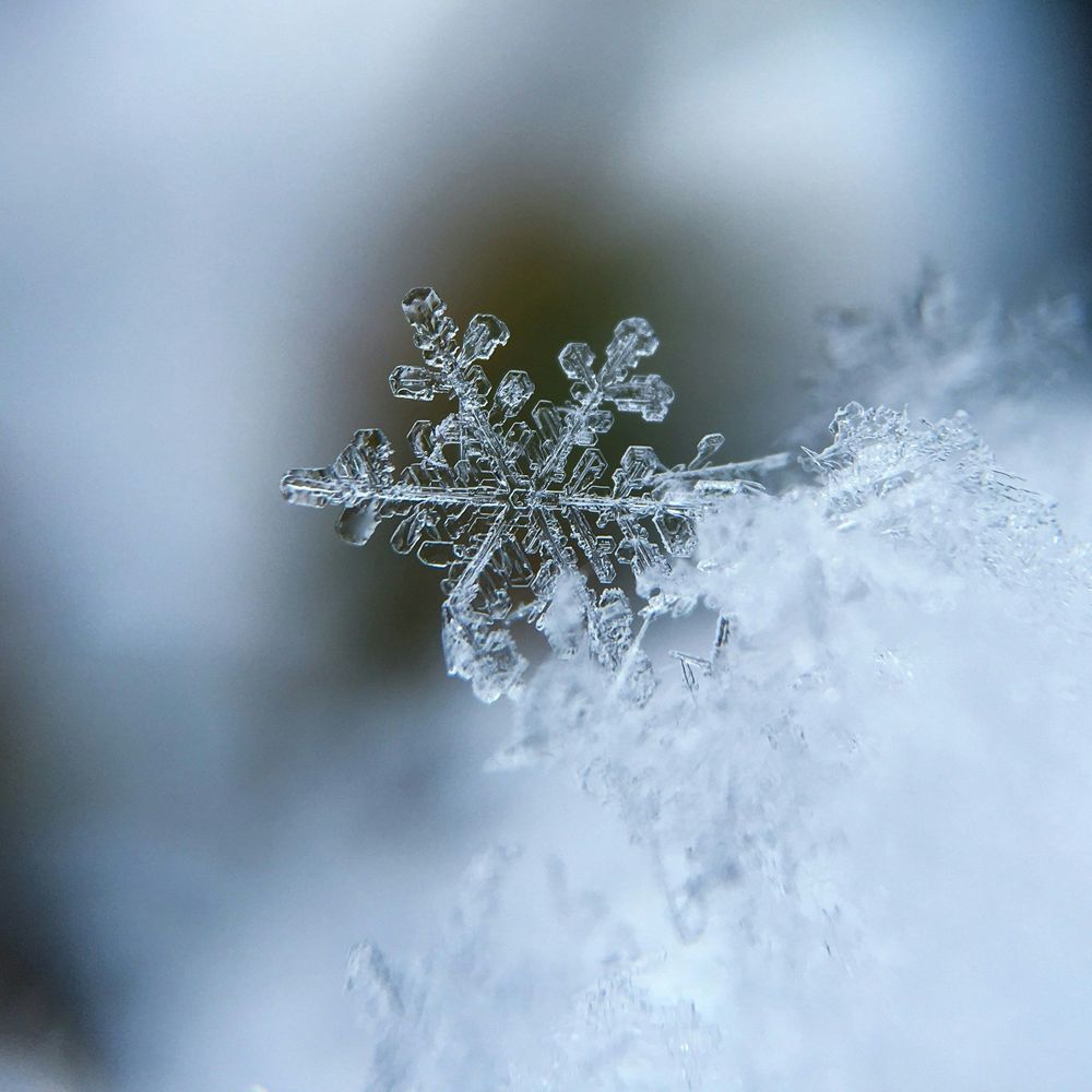 First Thaw