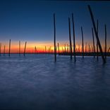 Murmuring Creek
