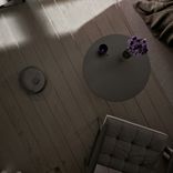 Moonbeam on the Floor