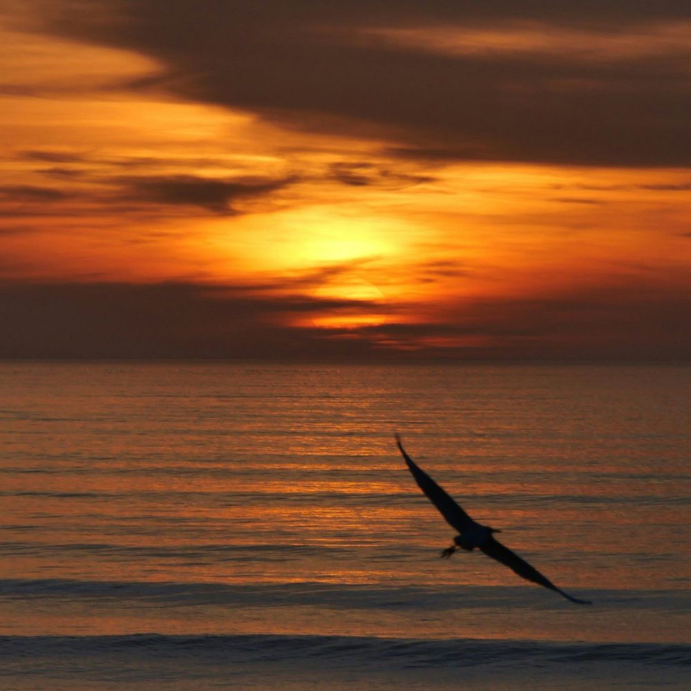 Soaring Horizons