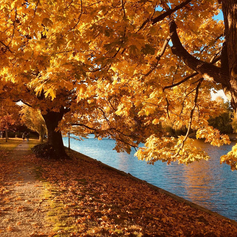 Autumn Melody