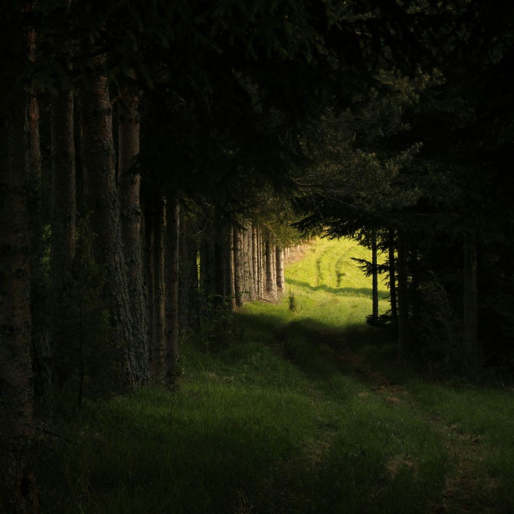 Inner Peace