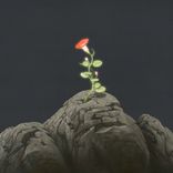The Persistence of Hope