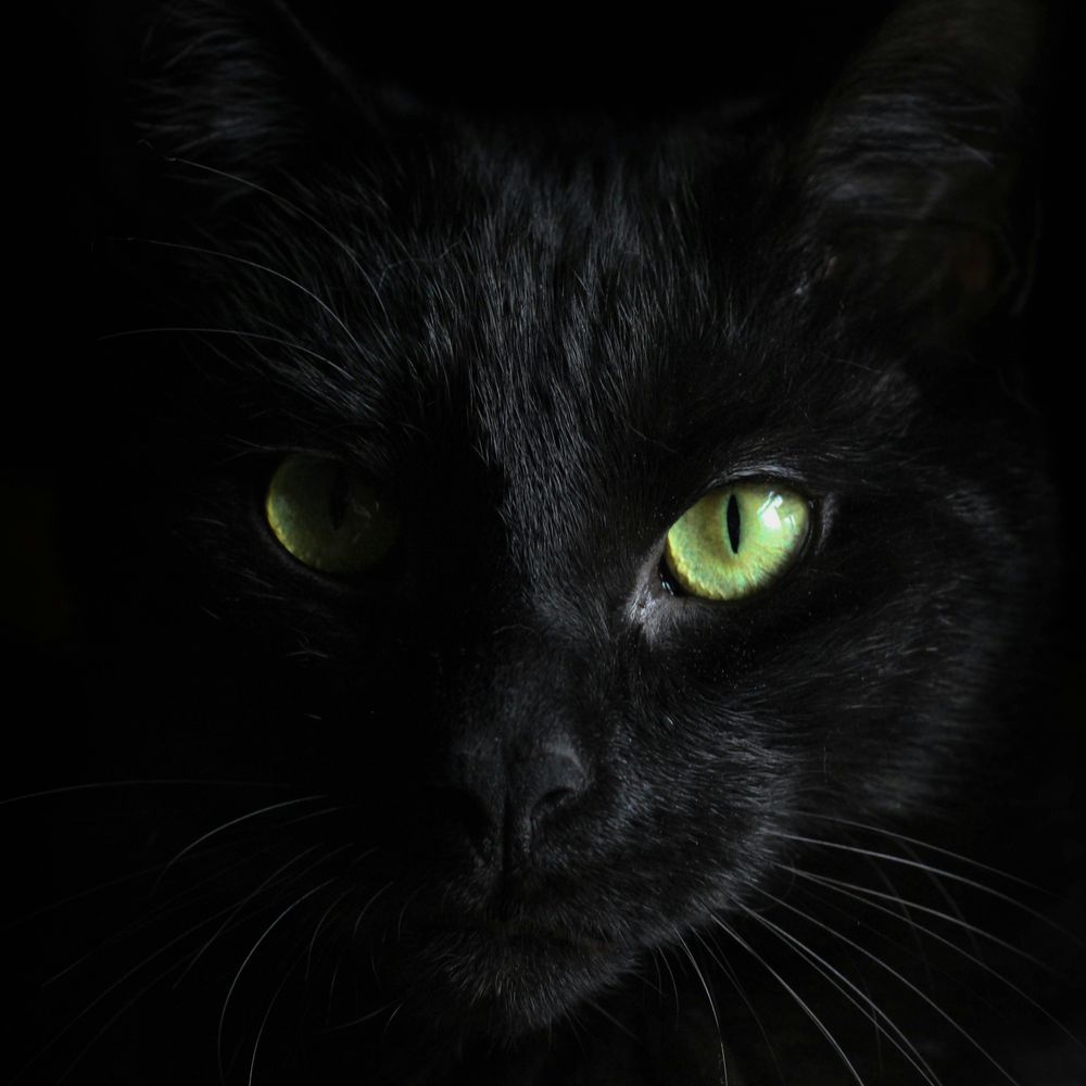 The Uninvited Guest