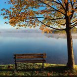 The Slow Descent of Autumn
