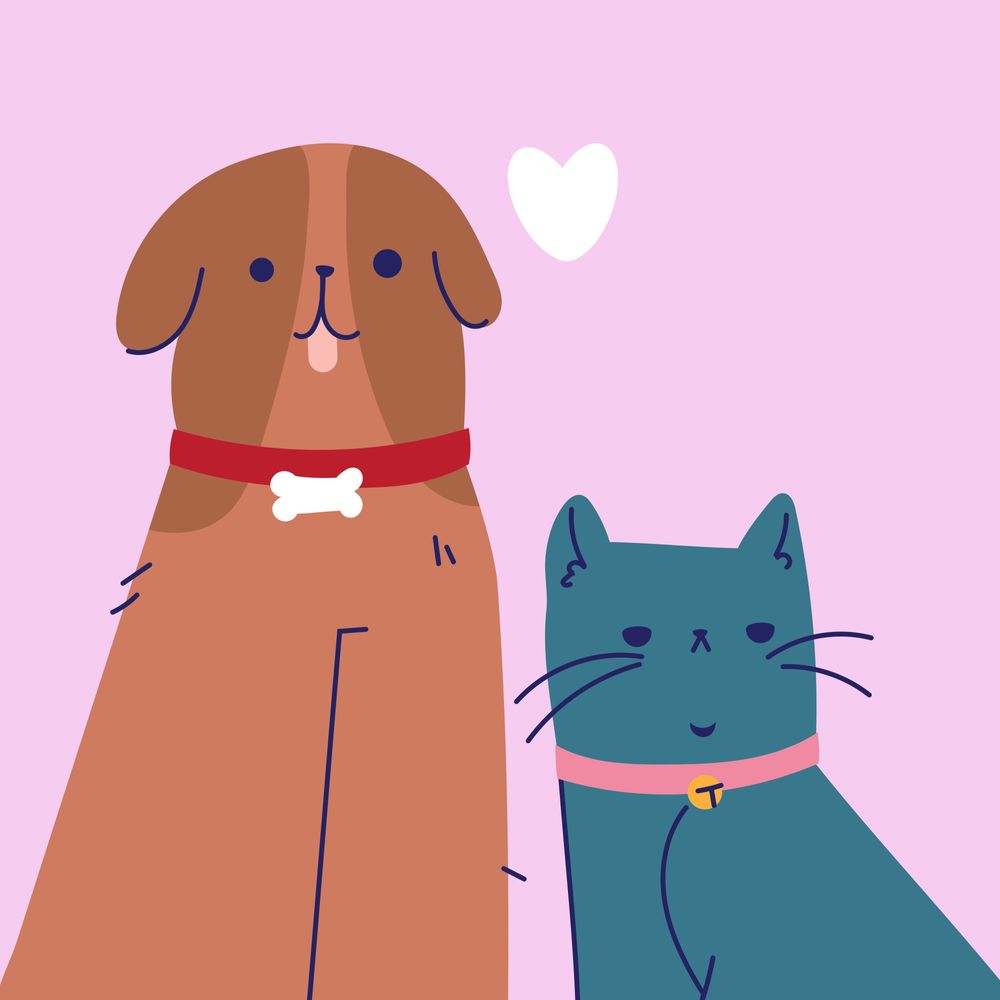 Dog and Kitten