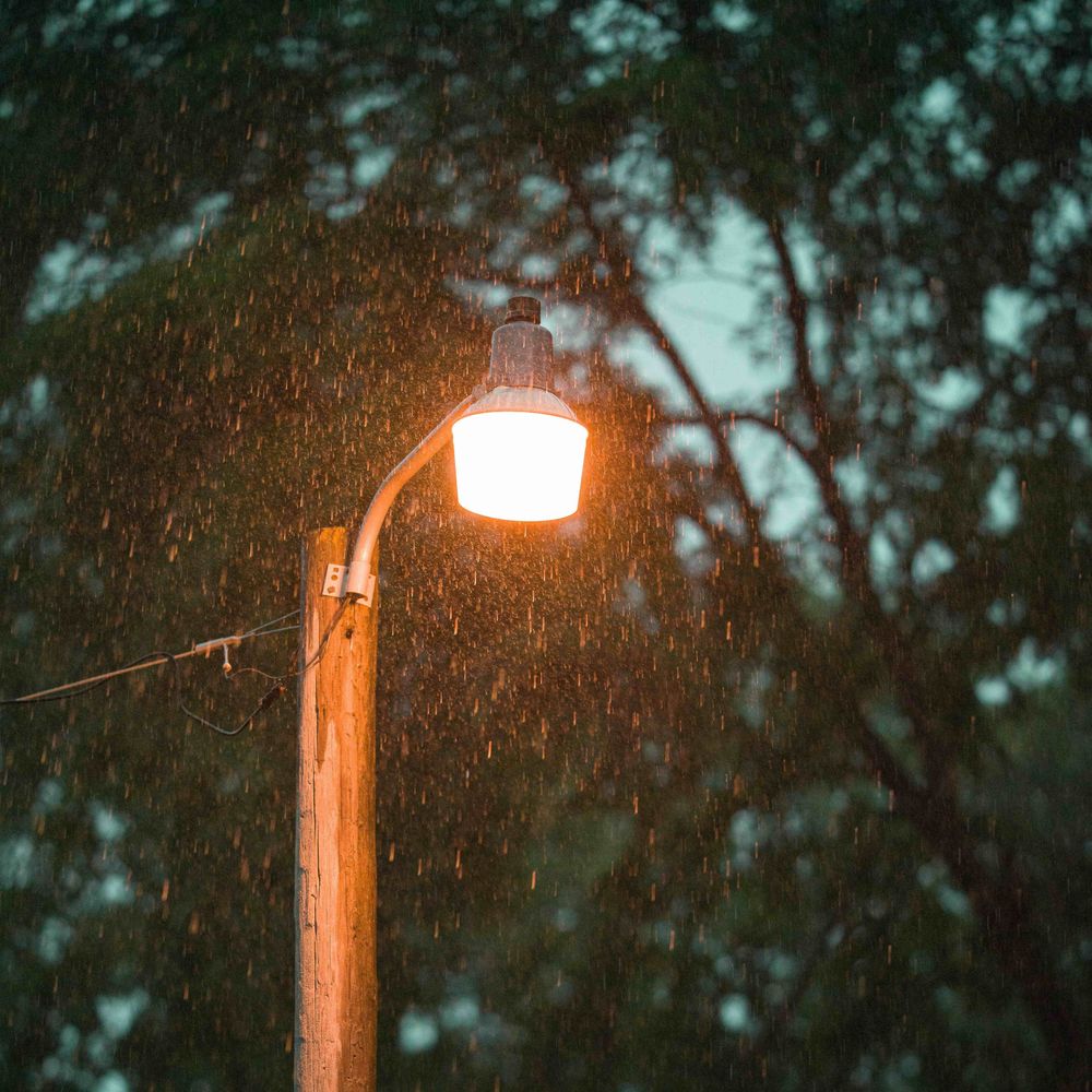 Perpetual Damp
