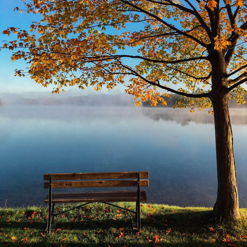 The Slow Descent of Autumn