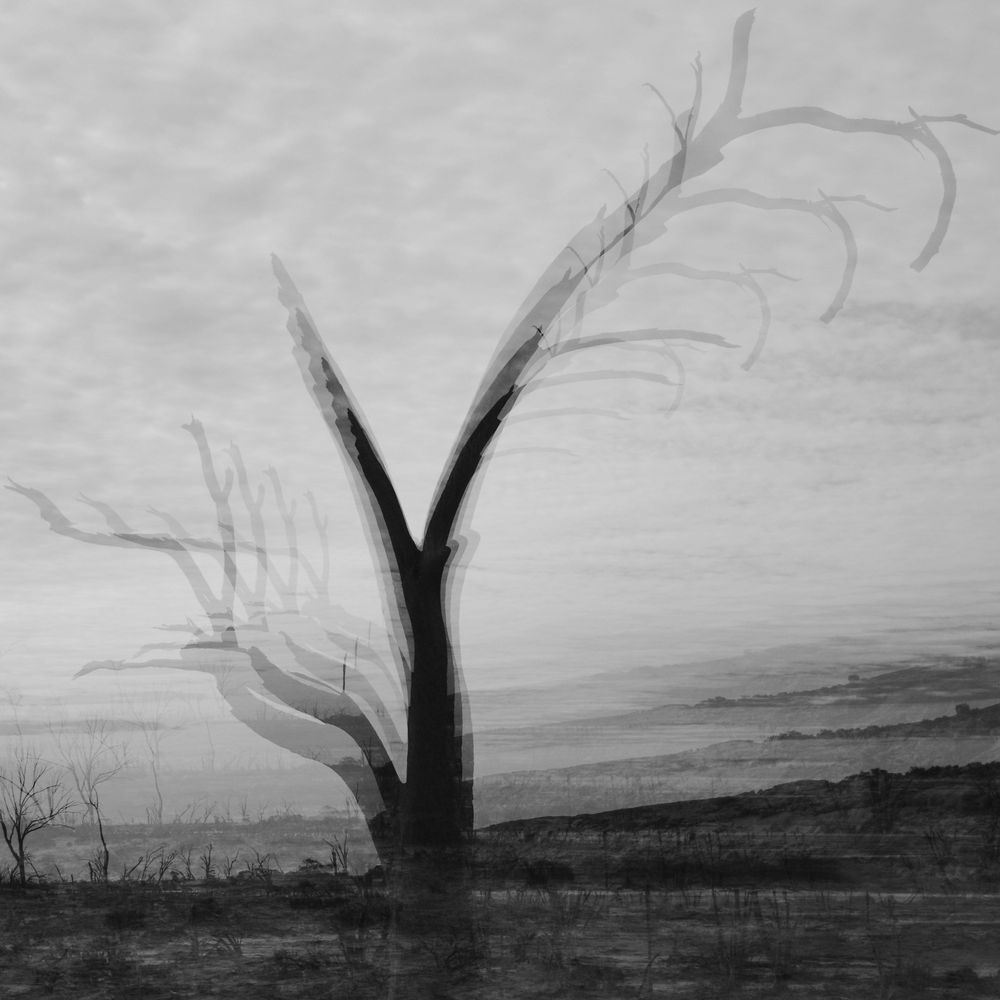 Monologue in the Wind