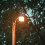 Perpetual Damp