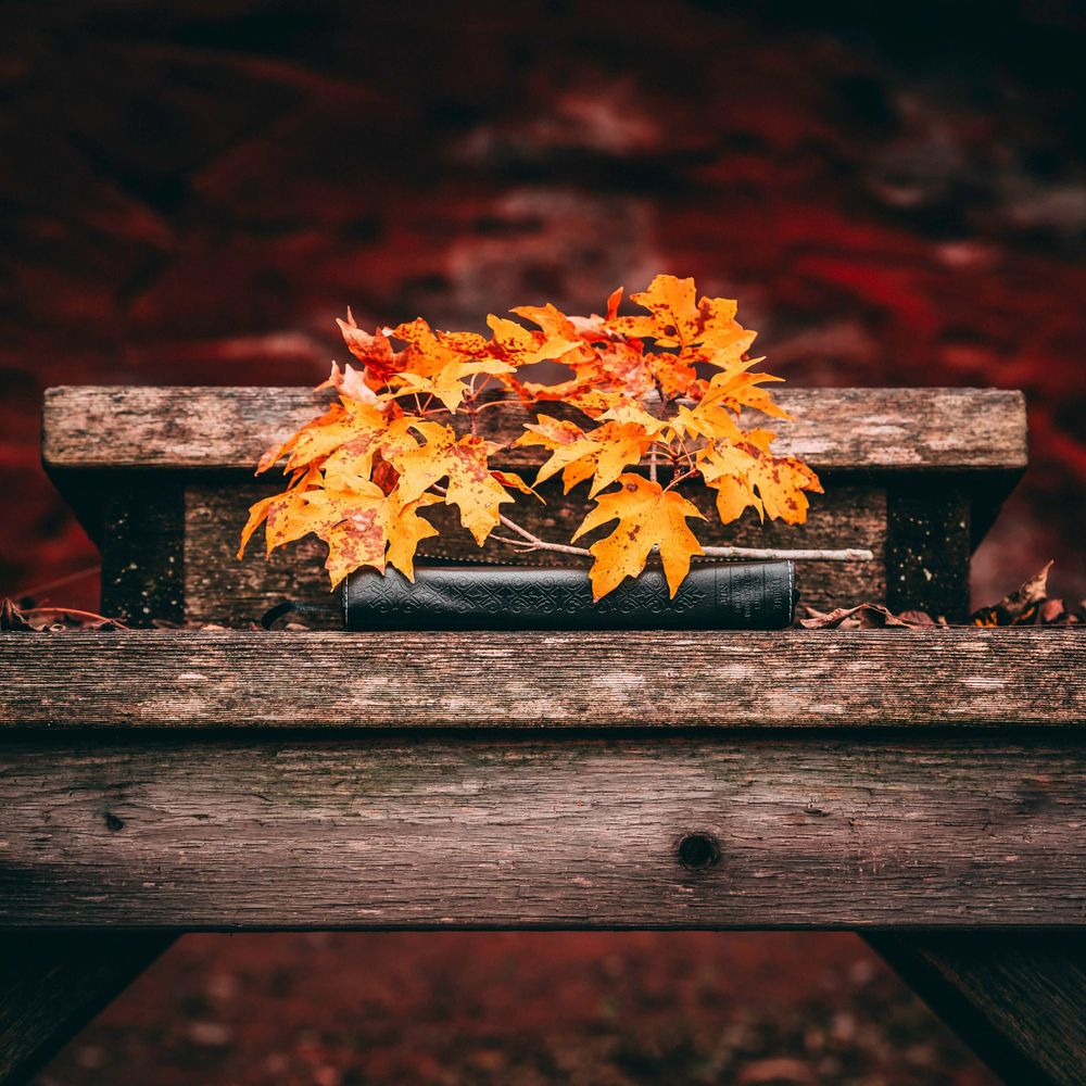 Autumn's Farewell Letter