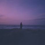 Solitude's Harmony