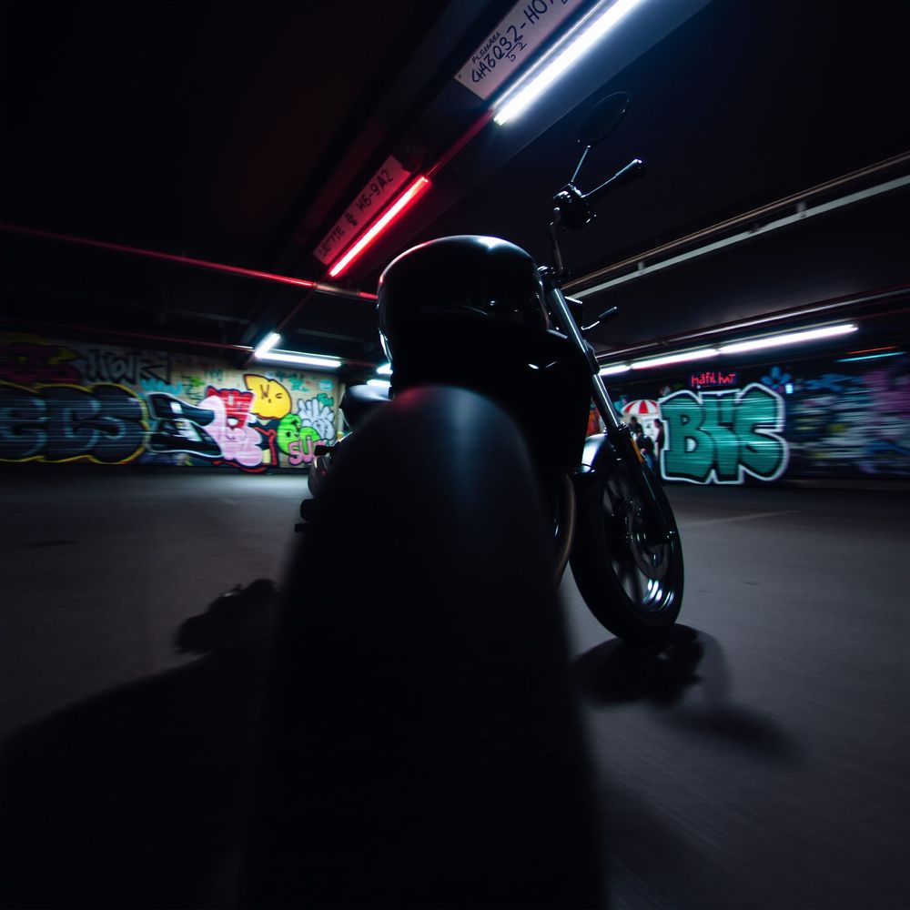 Midnight Escape in the Neon Jungle
