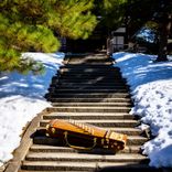 Stone Step Snowfall