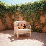 Courtyard Apricot