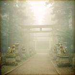 Lantern Fox Route